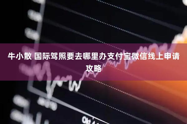 牛小散 国际驾照要去哪里办支付宝微信线上申请攻略