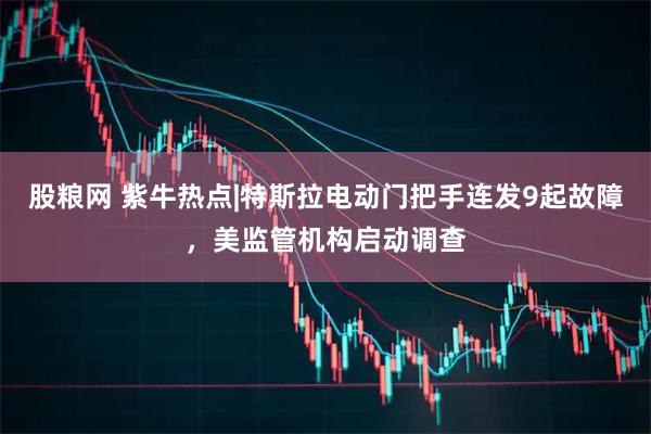 股粮网 紫牛热点|特斯拉电动门把手连发9起故障，美监管机构启动调查