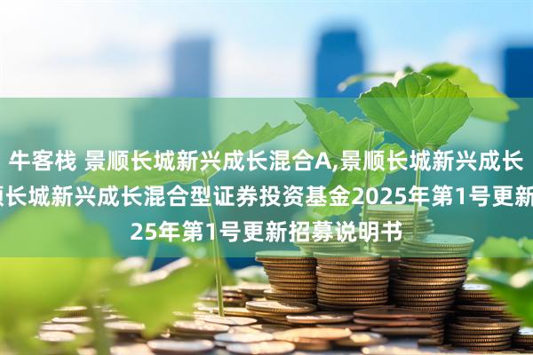 牛客栈 景顺长城新兴成长混合A,景顺长城新兴成长混合C: 景顺长城新兴成长混合型证券投资基金2025年第1号更新招募说明书