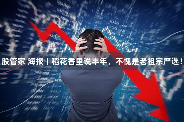 股管家 海报丨稻花香里说丰年，不愧是老祖宗严选！