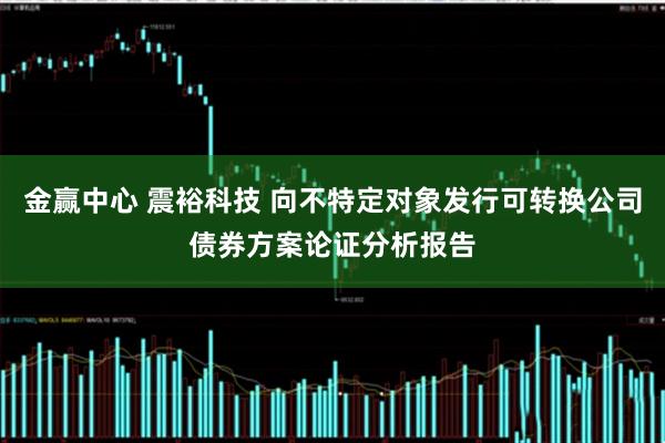 金赢中心 震裕科技 向不特定对象发行可转换公司债券方案论证分析报告
